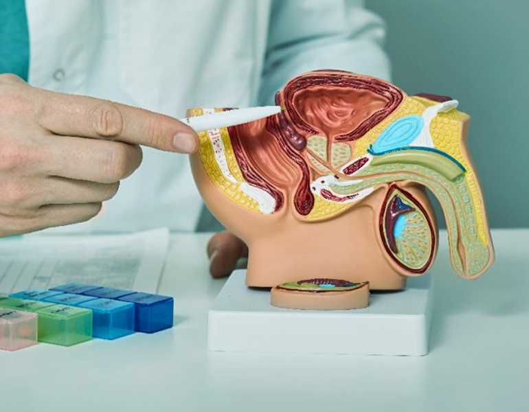 بعد إصابة بايدن.. ما هو سرطان البروستاتا؟